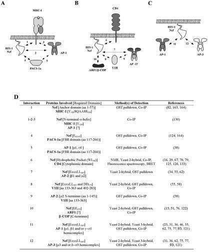 FIG. 3.