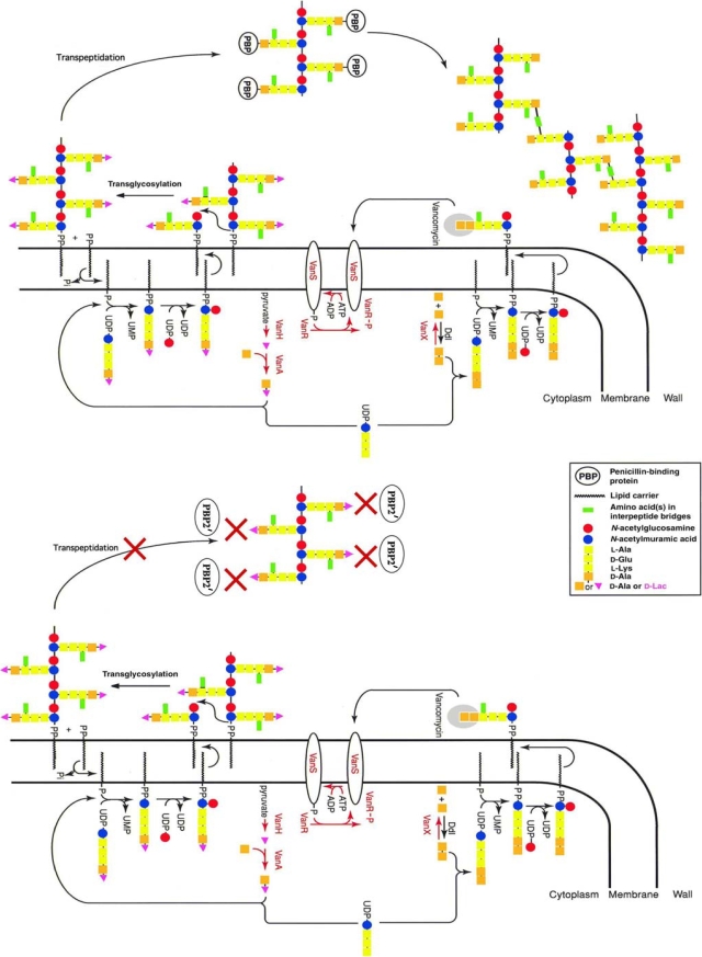 FIG. 4.