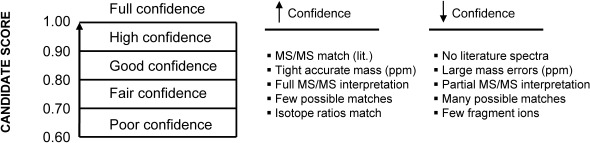 Fig. 1. The arbitrary “confidence” scoring scale used to score structure and formula candidates for the contest along with factors which tend to increase or decrease confidence.