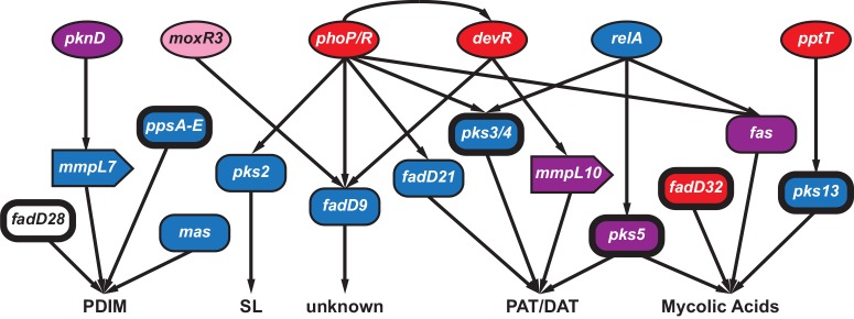 Fig 5