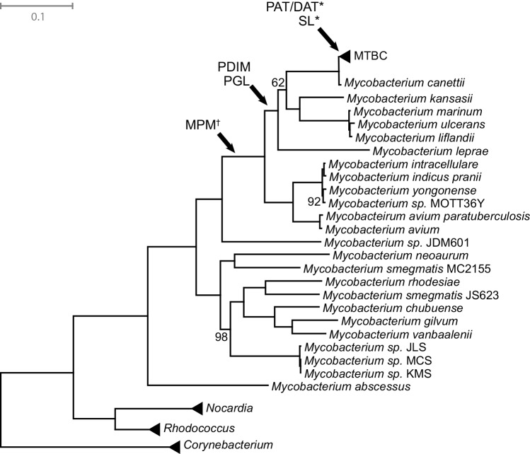 Fig 6