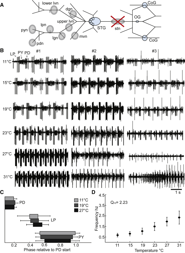 Figure 1.