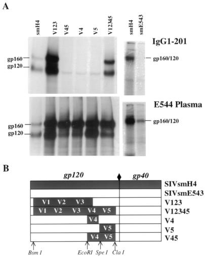 FIG. 4