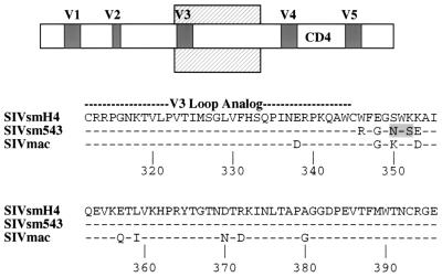 FIG. 5