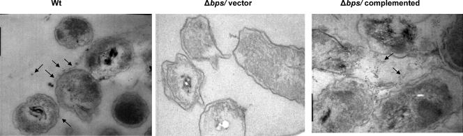 FIG. 5.