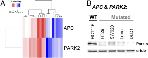 Fig. 3.