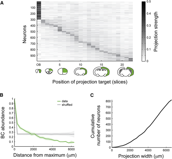 Figure 6: