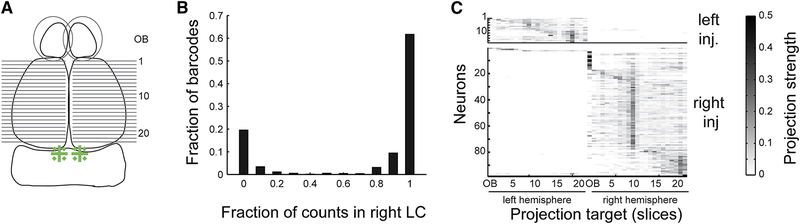 Figure 7: