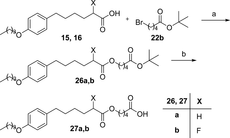 Scheme 4