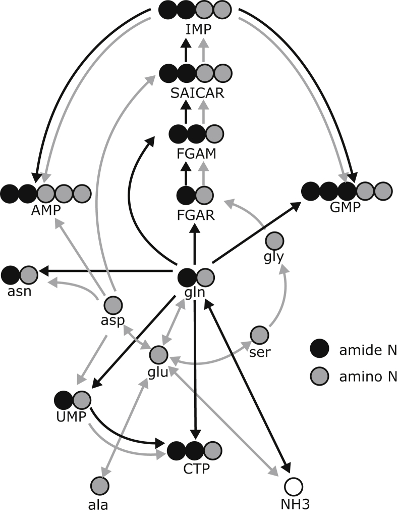 Figure 1