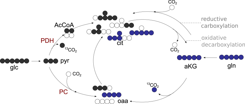 Figure 5