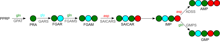 Figure 3