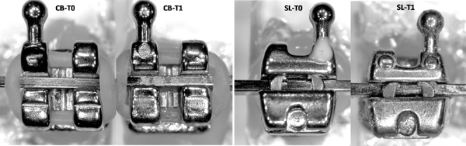 Figure 2. Images used to determine debris score before (T0) and after clinical use.