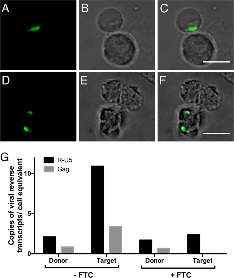 FIG 1