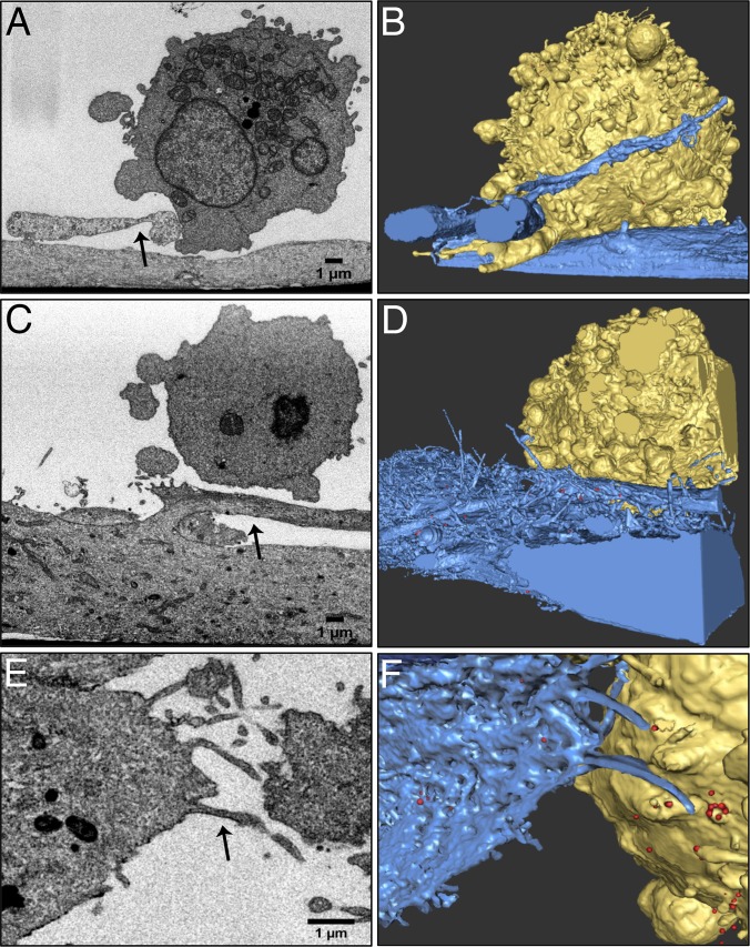 FIG 10