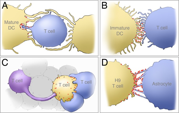 FIG 11