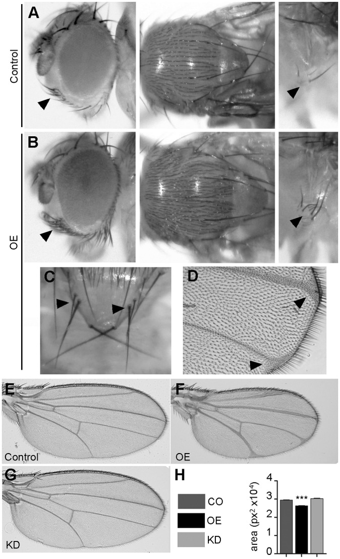 Fig. 6.