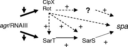 FIG. 6.