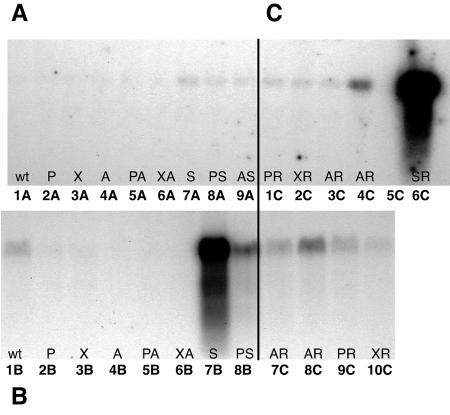 FIG. 5.