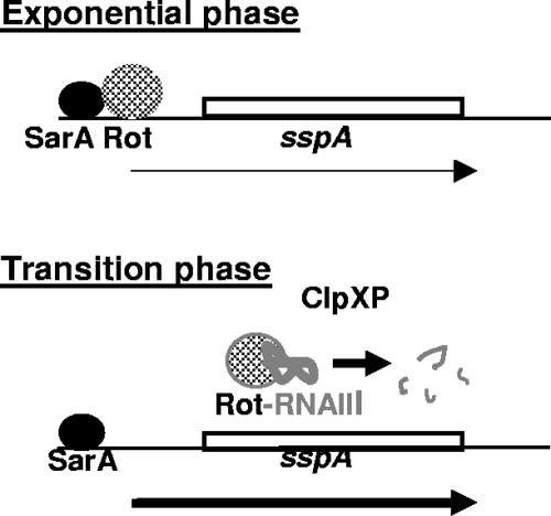 FIG. 7.