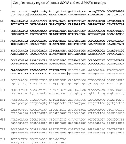 Supplementary Figure 2