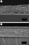 Figure 9.