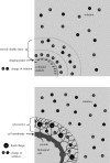 Figure 15.
