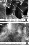Figure 13.