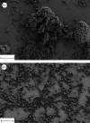 Figure 14.