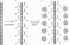 Figure 10.