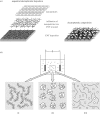 Figure 12.