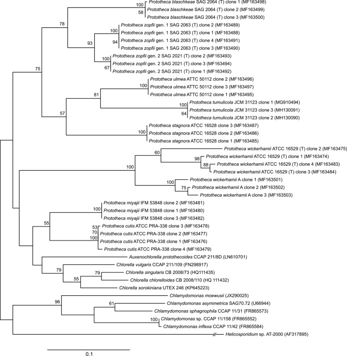 FIG 6