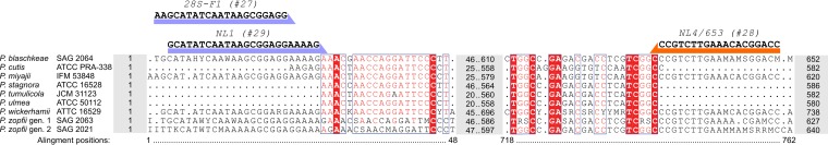 FIG 10