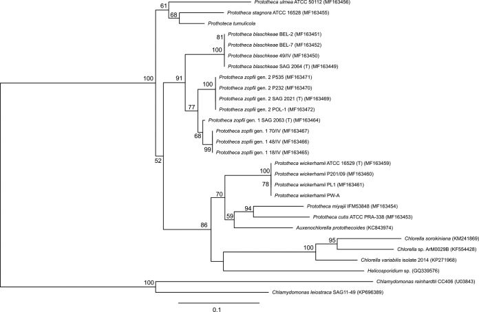 FIG 4