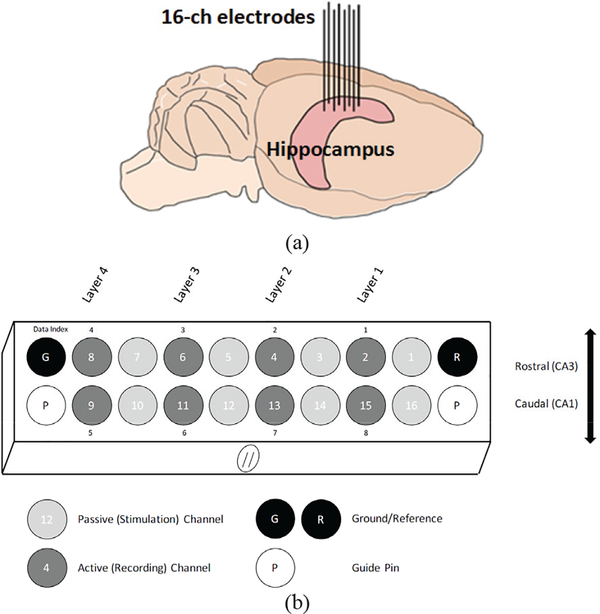 Fig. 11.