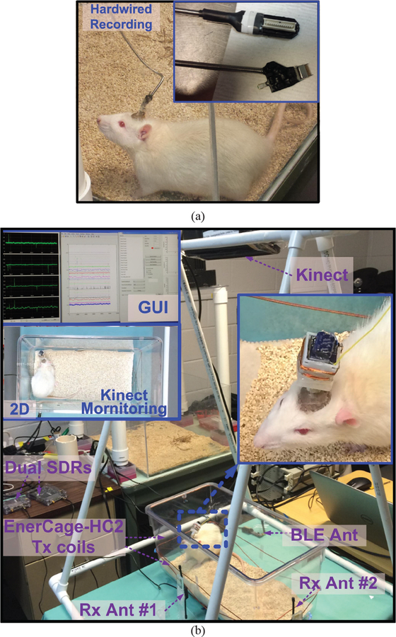 Fig. 12.