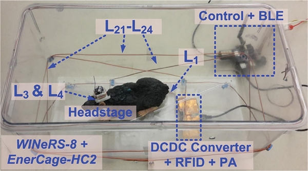 Fig. 10.