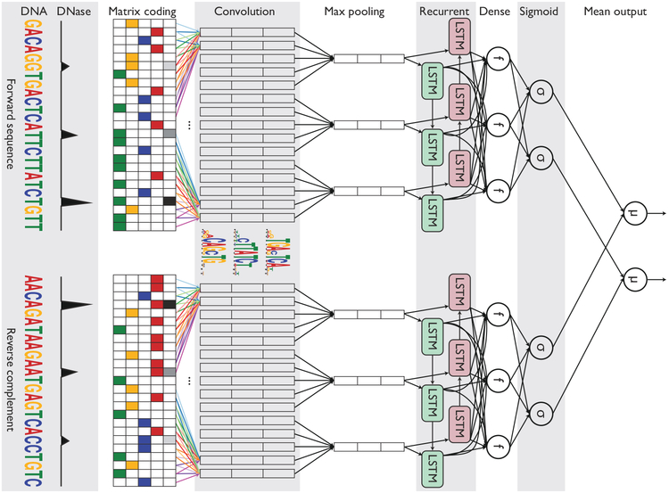 Figure 1: