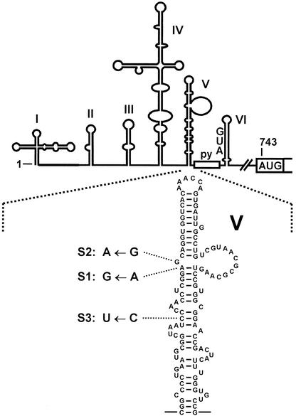 FIG. 1.