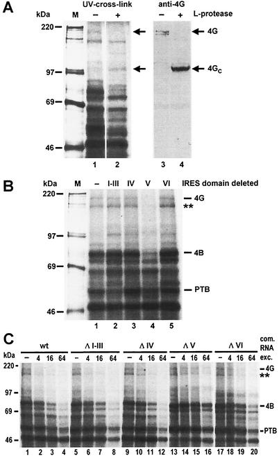 FIG. 4.