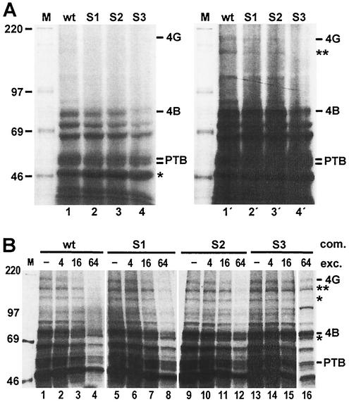 FIG. 5.