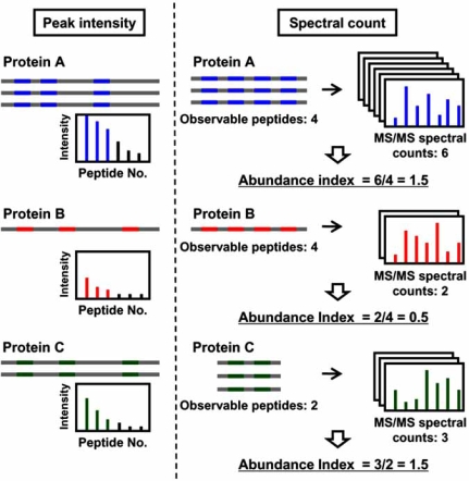 Fig. (3). Label-free methods for absolute quantitative proteomics.