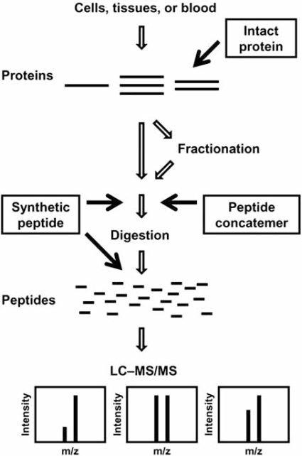 Fig. (1). Strategies for absolute quantification using stable isotope-labeled standards.