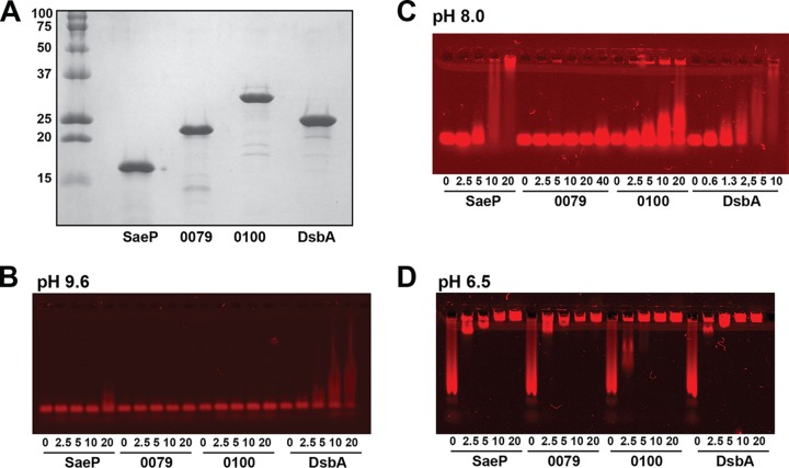 FIG 3