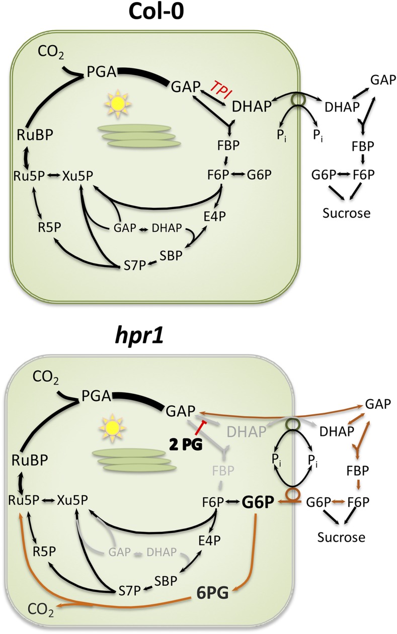 Figure 9.