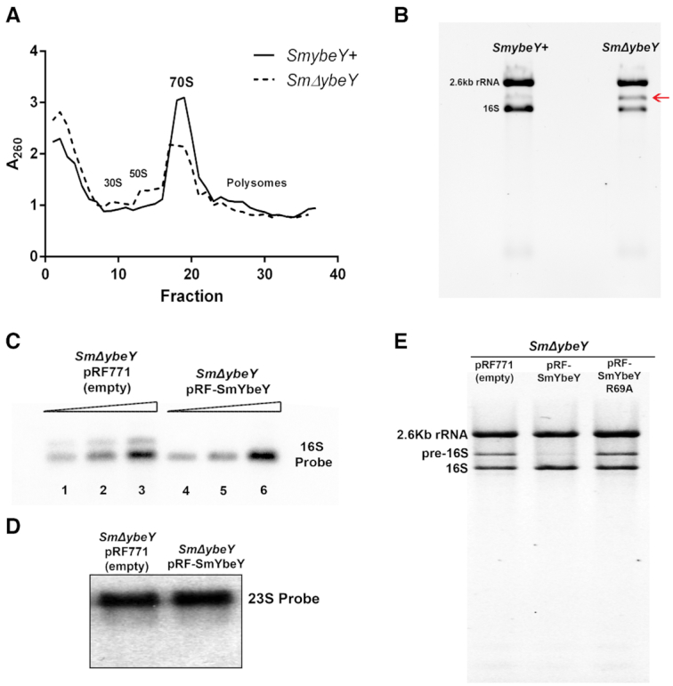 Figure 5.