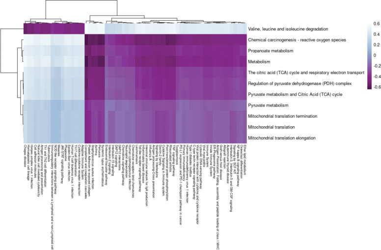 Figure 6: