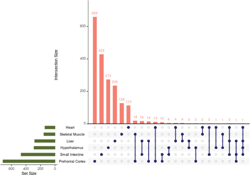 Figure 4: