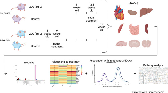 Figure 1: