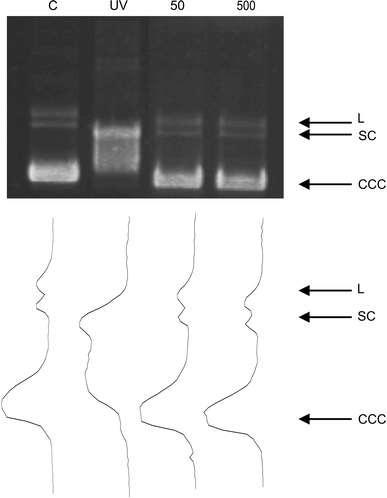 Fig. 3